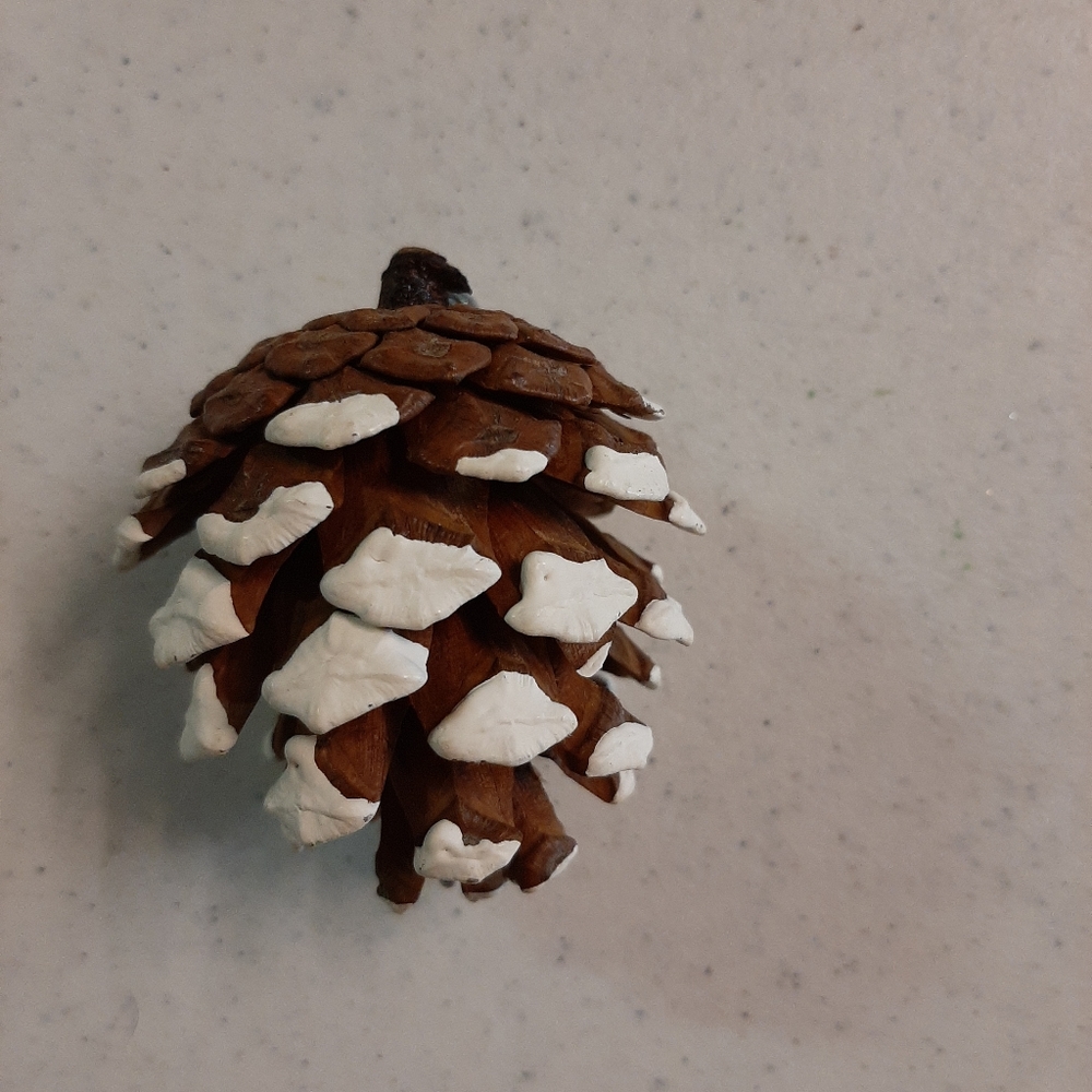 Handmade Pine Cone Ornament